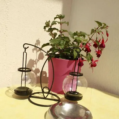 ゲストハウス Matusan's Place Banjol