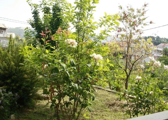 Matusan's Place
