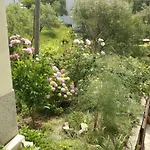 Matusan's Place 3* Банёл
