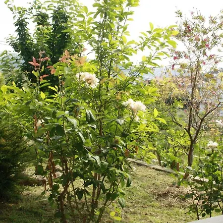 Matusan's Place