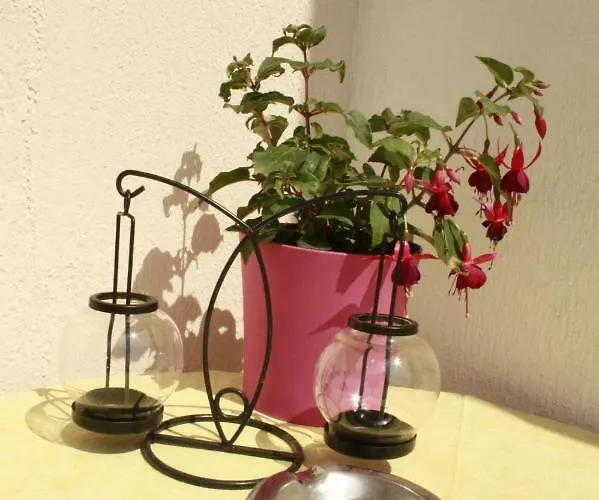 Penzion Matusan's Place Banjol