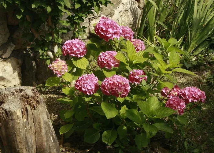 Matusan's Place 3* Banjol