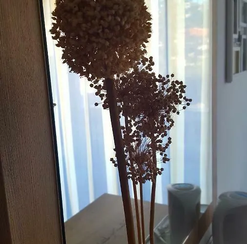 Penzion Matusan's Place